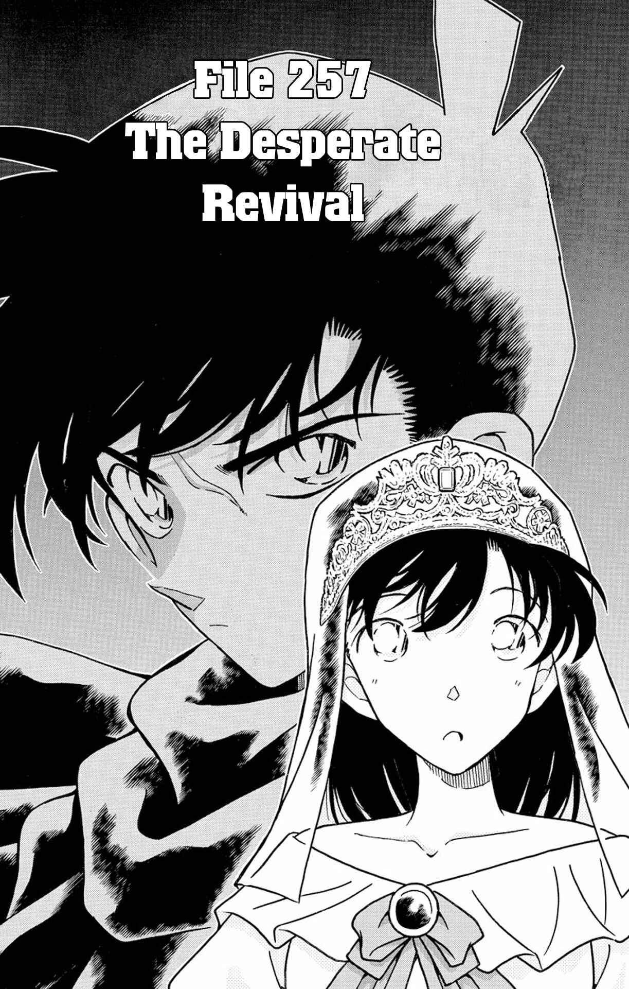 Detective Conan Chapter 257 page 1