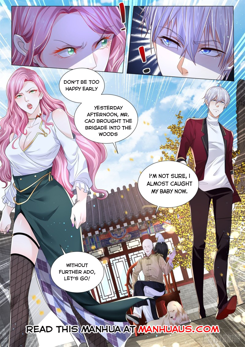 Divine Hero’s Skyfall System Chapter 256 page 11