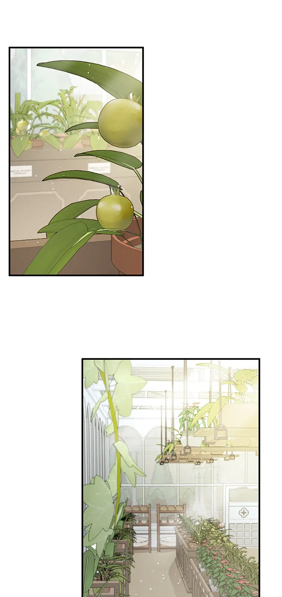 Doctor Resignation Chapter 19 page 25