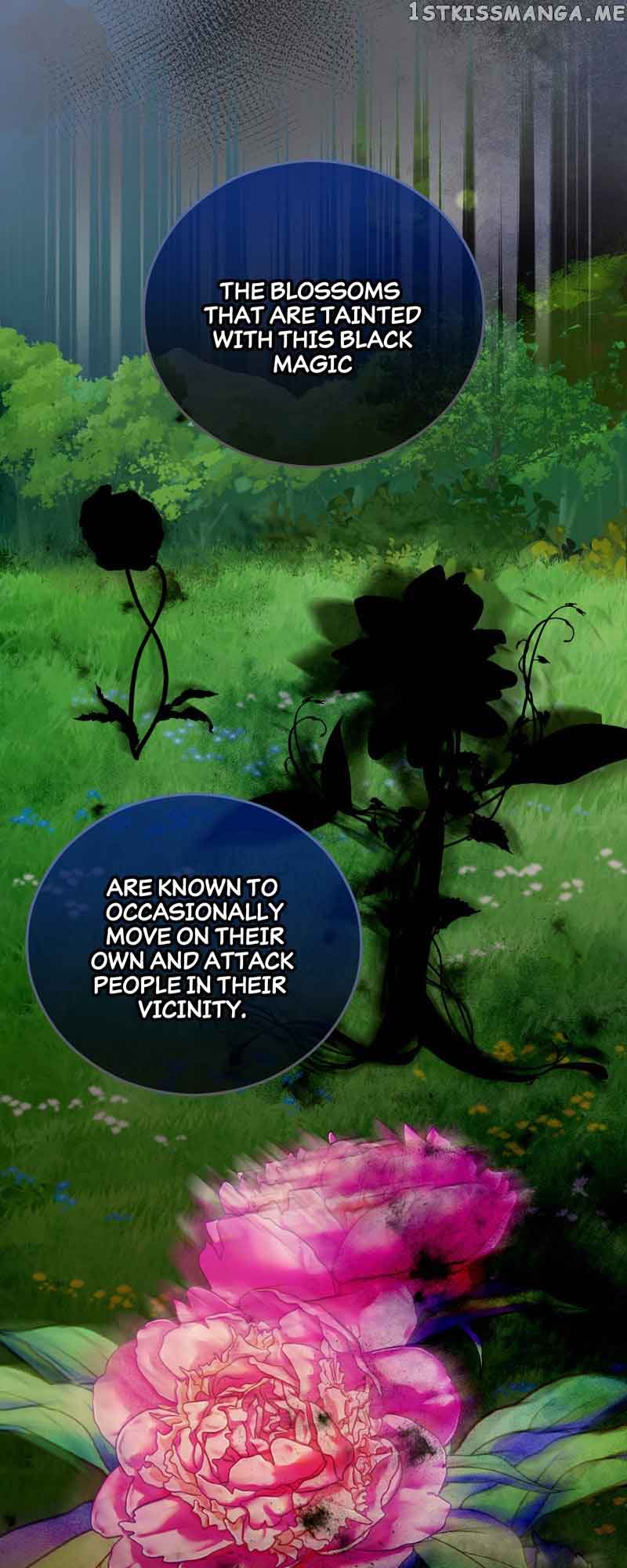 Don’t Look Back, Seisia! Chapter 43 page 11