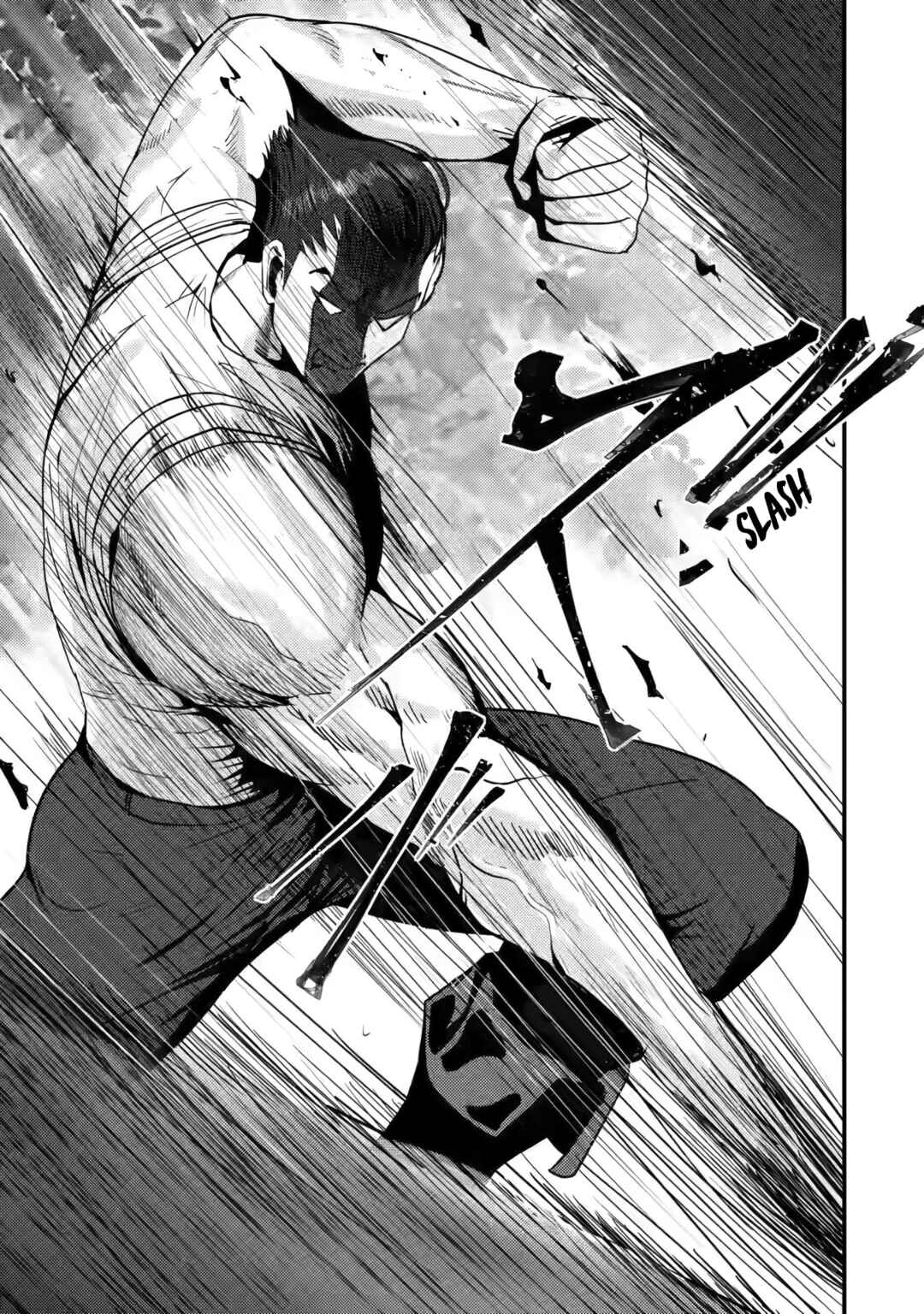 Doumo, Yuusha no Chichi desu. ~Kono Tabi wa Gusoku ga Gomeiwaku o Kakete, Moushiwake Arimasen.~ Chapter 1 page 3
