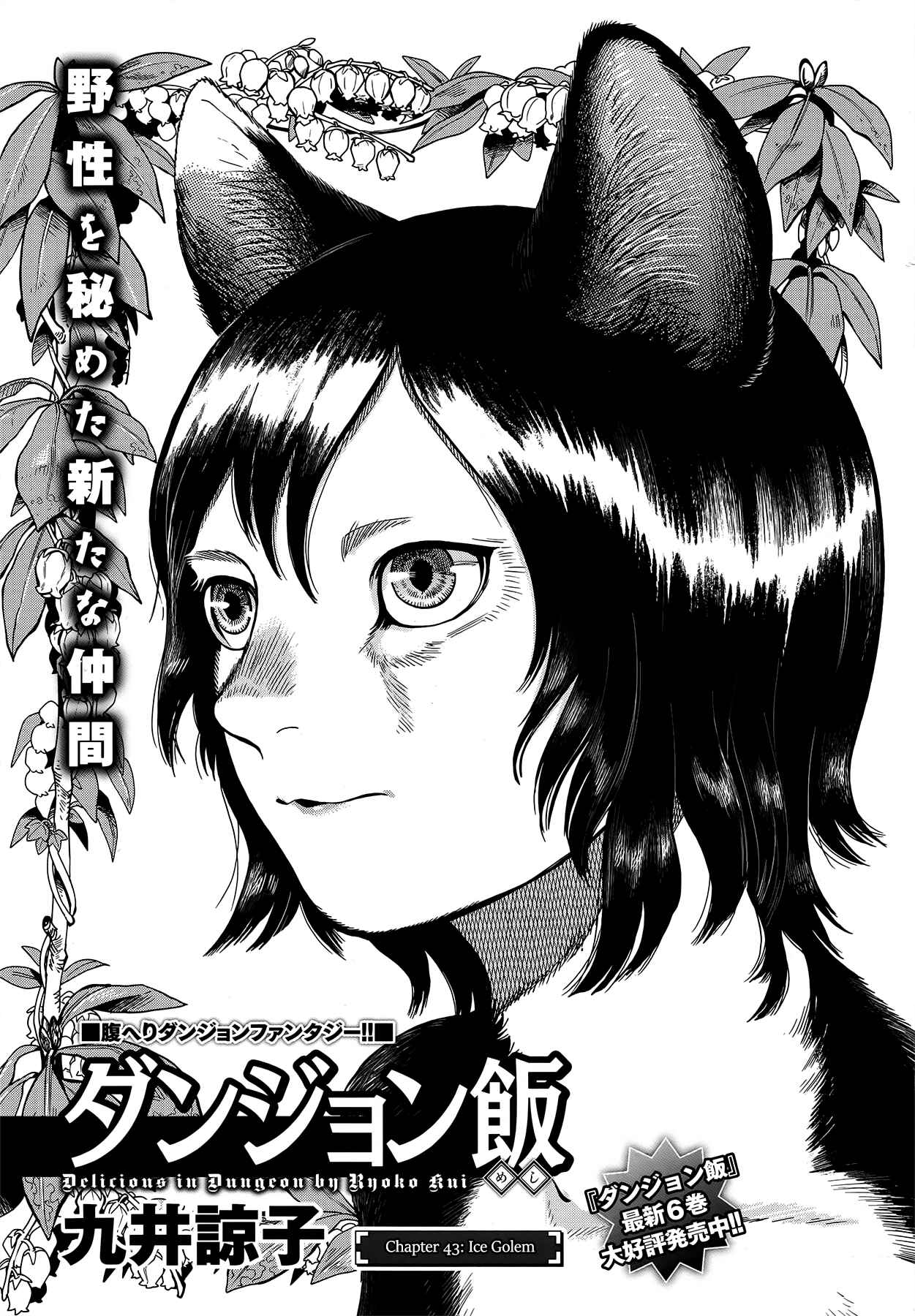 Dungeon Meshi Chapter 43 page 0