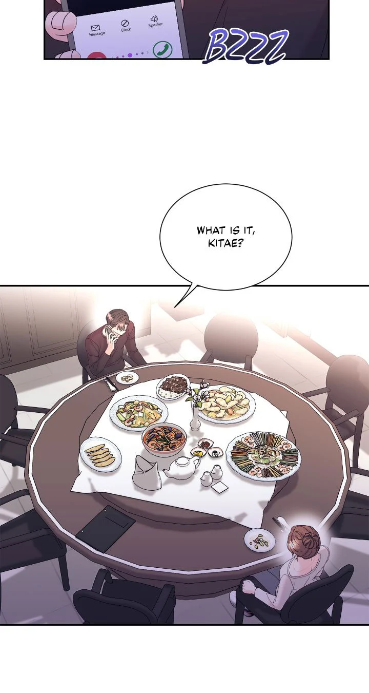 Fake Wife Chapter 39 page 46
