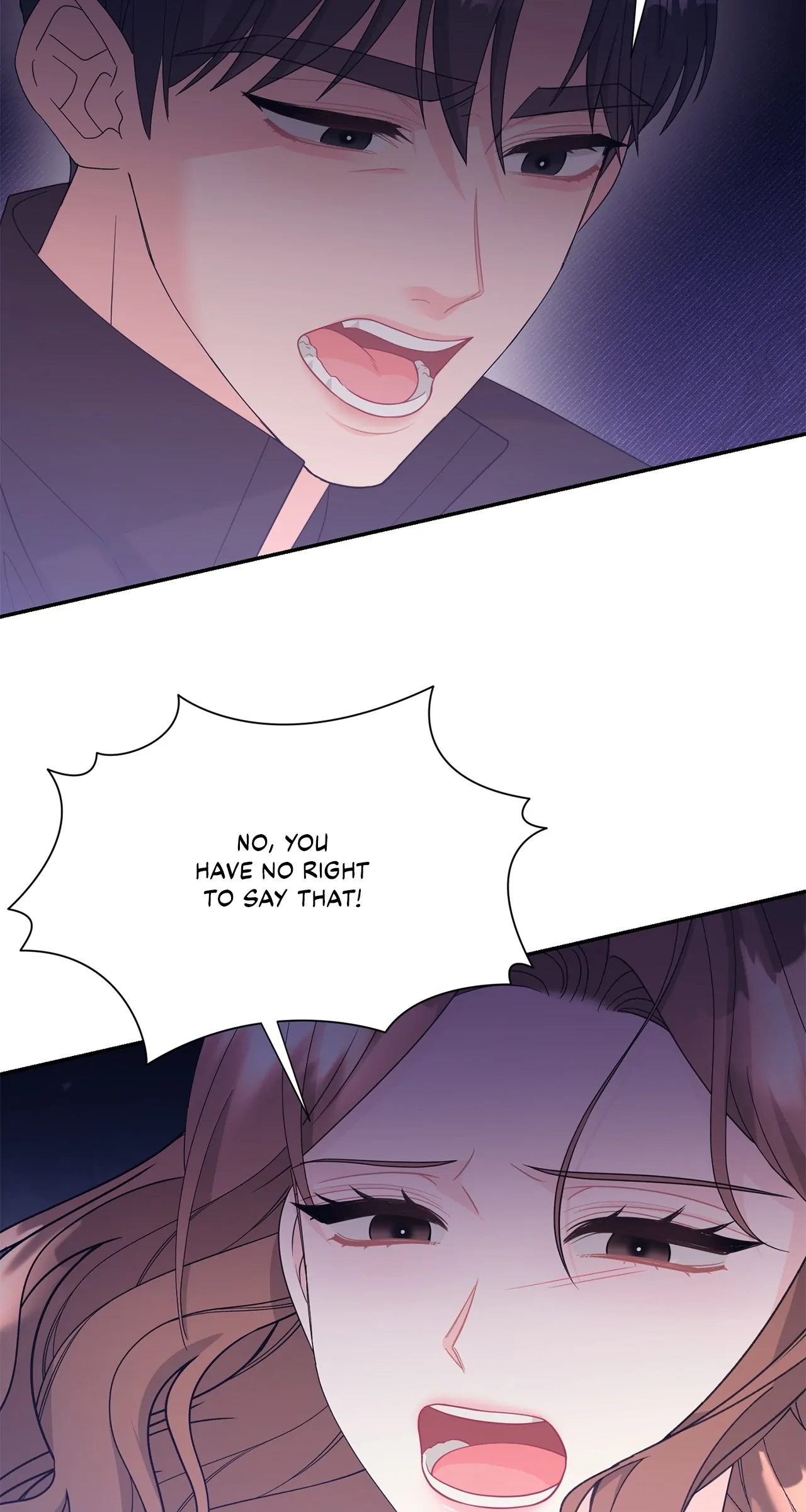 Fake Wife Chapter 65 page 13