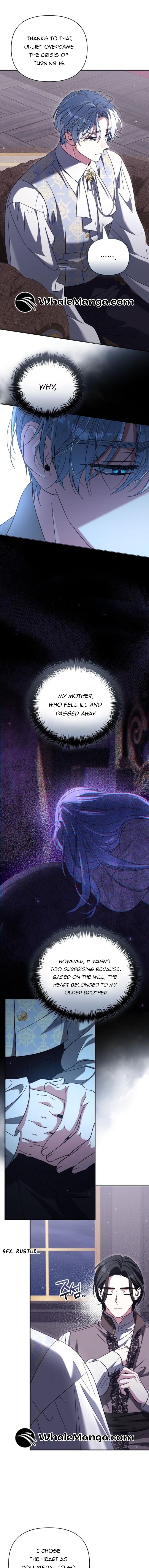 For the Beautiful Juliet Chapter 10 page 12