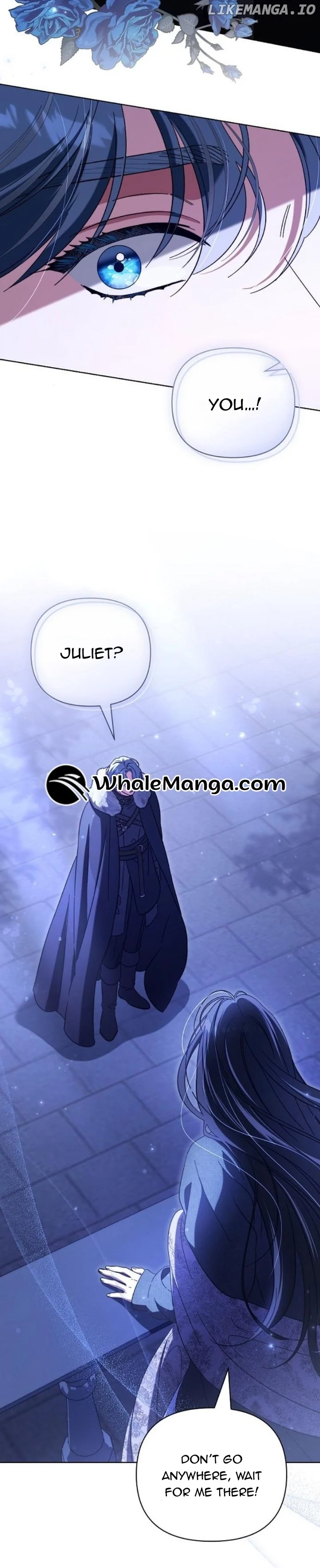 For the Beautiful Juliet Chapter 11 page 28