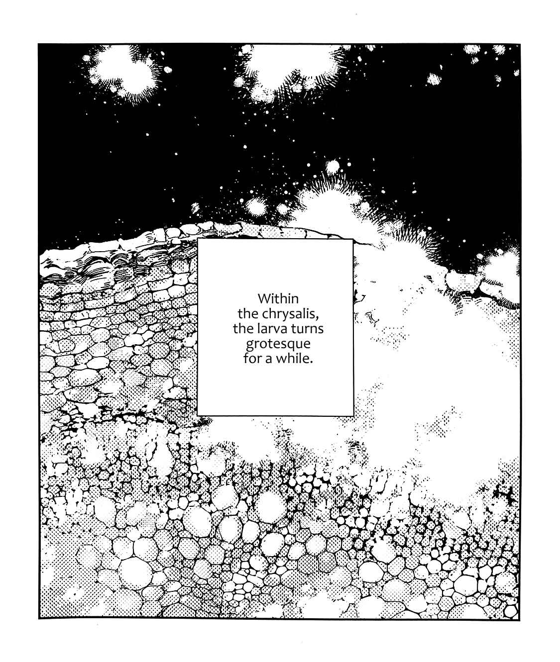 Given Chapter 39.9 page 1