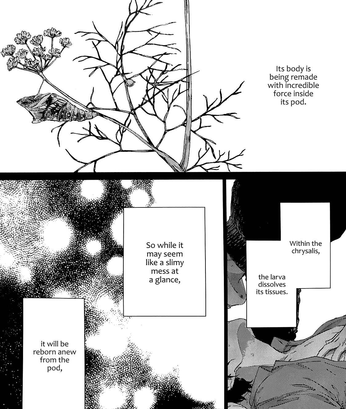Given Chapter 39.9 page 6