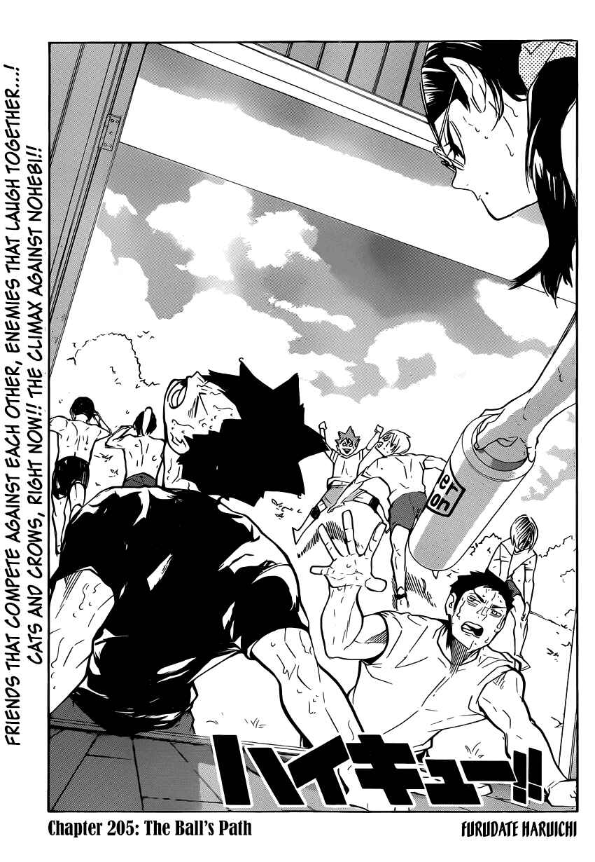 Haikyu!! Chapter 205 page 1