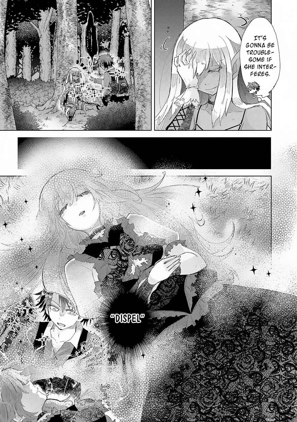 Hazure Skill "Kage ga Usui" o Motsu Guild Shokuin ga, Jitsuwa Densetsu no Ansatsusha Chapter 15 page 19