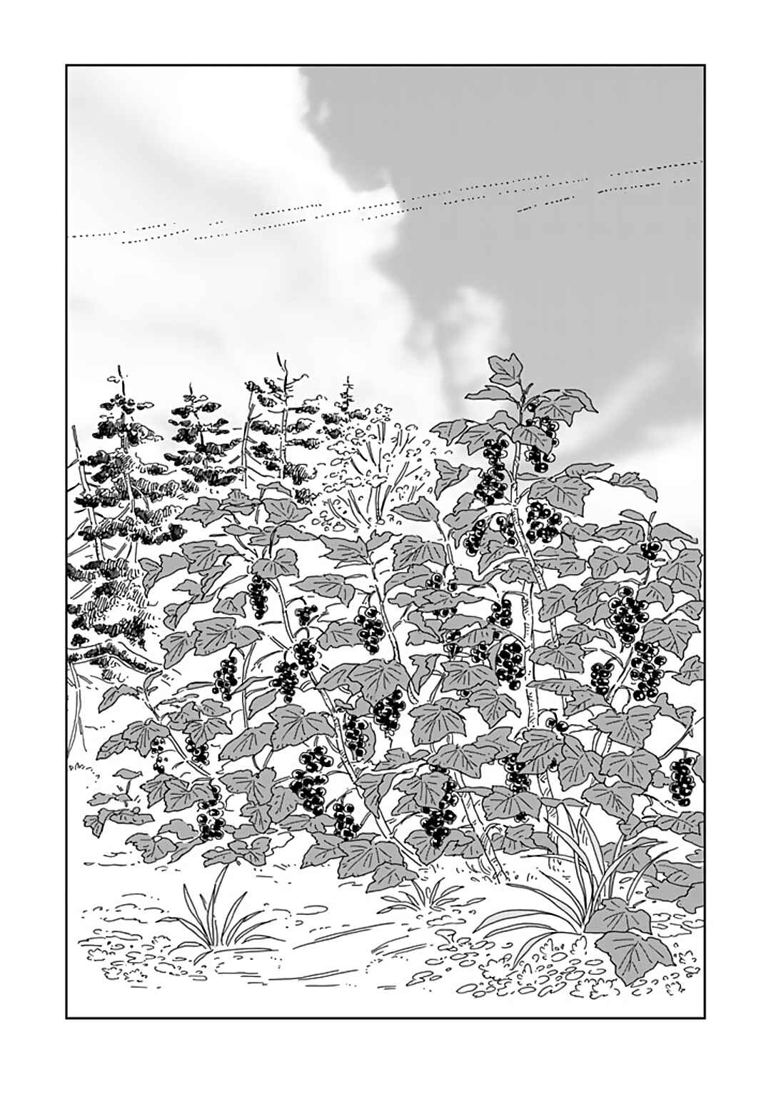 Hokuo Kizoku to Moukinzuma no Yukiguni Karigurashi Chapter 88 page 0