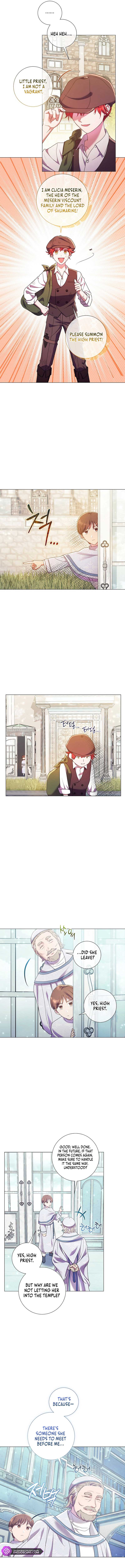How Can There be a Divorce When We Haven’t Even Married, Your Majesty? Chapter 8 page 8