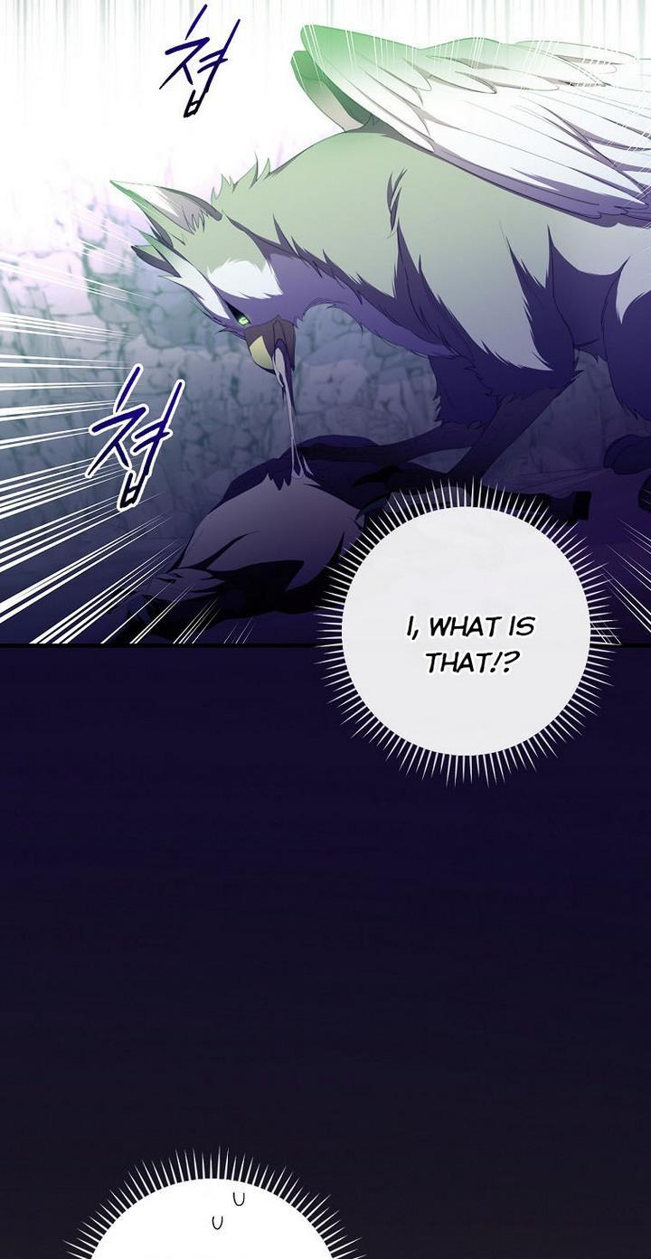 How to Get My Husband on My Side Chapter 34 page 65