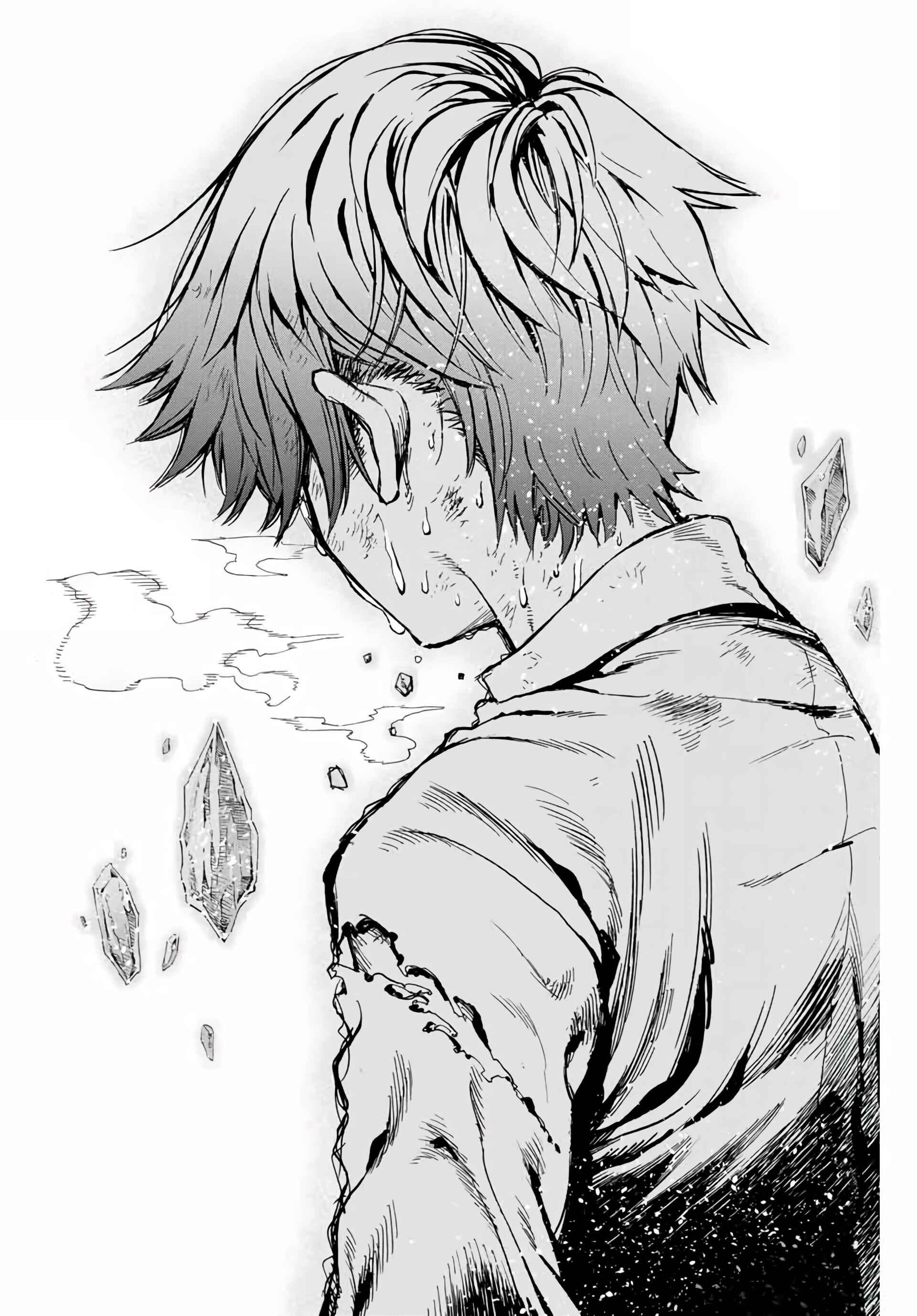 Hyouken no Majutsushi ga Sekai o Suberu Chapter 1 page 3