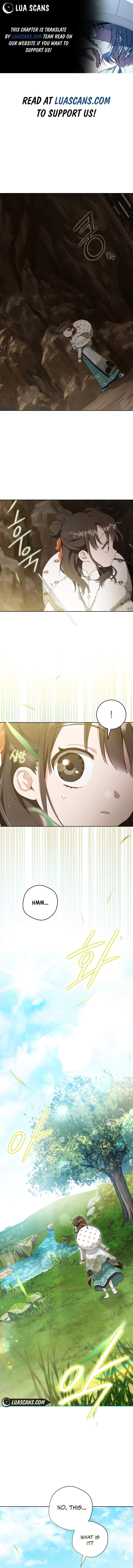 I became the Despised Granddaughter of the Powerful Martial Arts Family Chapter 56 page 0