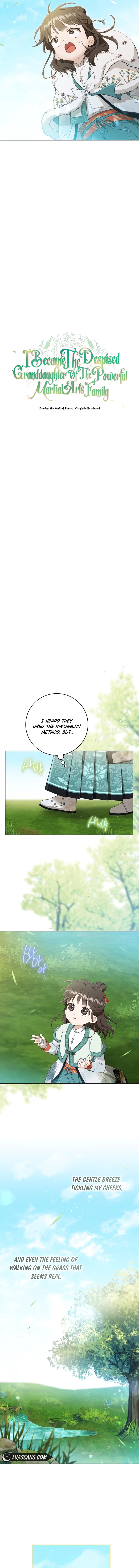I became the Despised Granddaughter of the Powerful Martial Arts Family Chapter 56 page 1