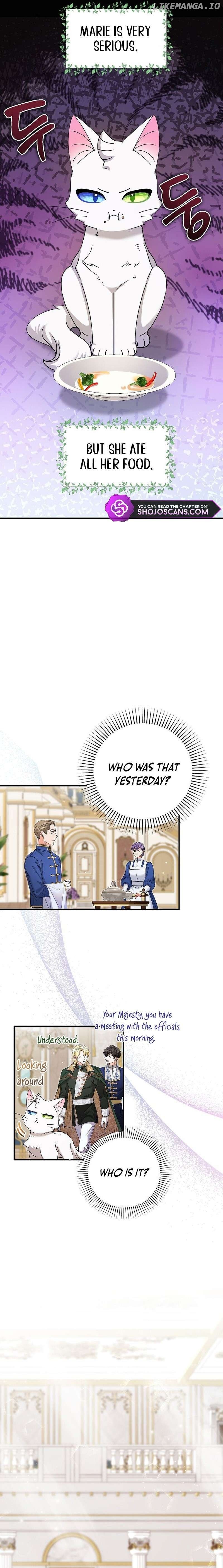 I Became the Emperor’s Cat Chapter 6 page 8