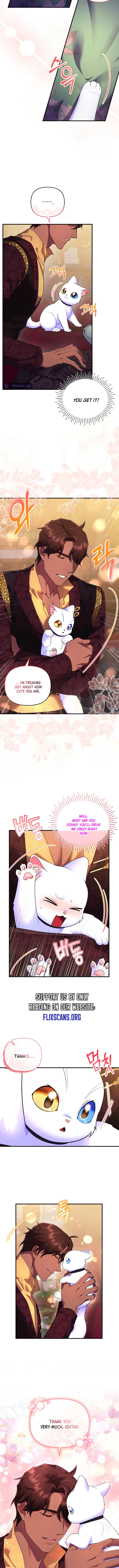 I Became the Sultan’s Precious Cat Chapter 17 page 10
