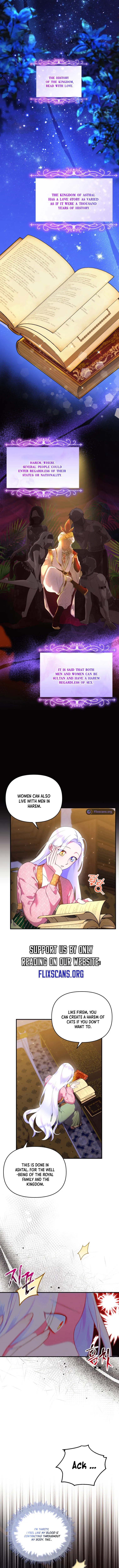 I Became the Sultan’s Precious Cat Chapter 17 page 4