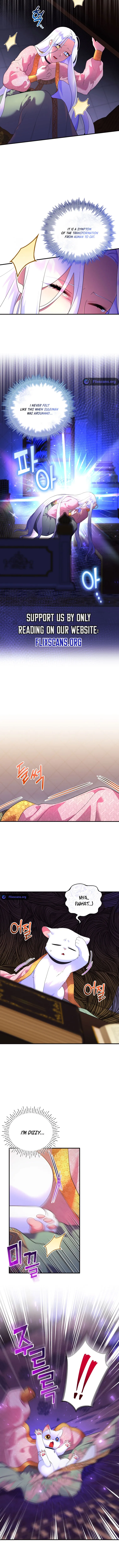 I Became the Sultan’s Precious Cat Chapter 17 page 5