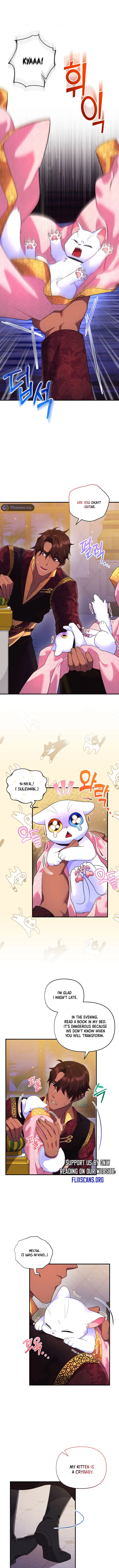 I Became the Sultan’s Precious Cat Chapter 17 page 6