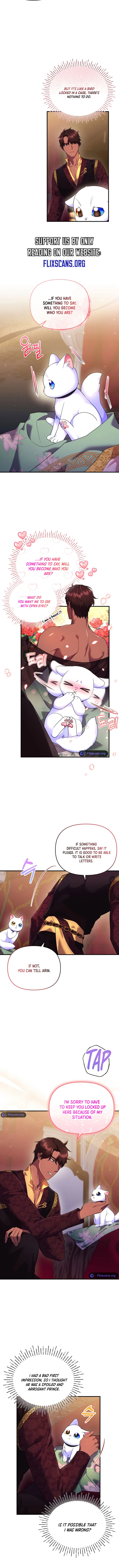 I Became the Sultan’s Precious Cat Chapter 17 page 8