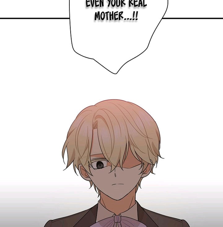I Became the Villain’s Mother Chapter 48 page 63