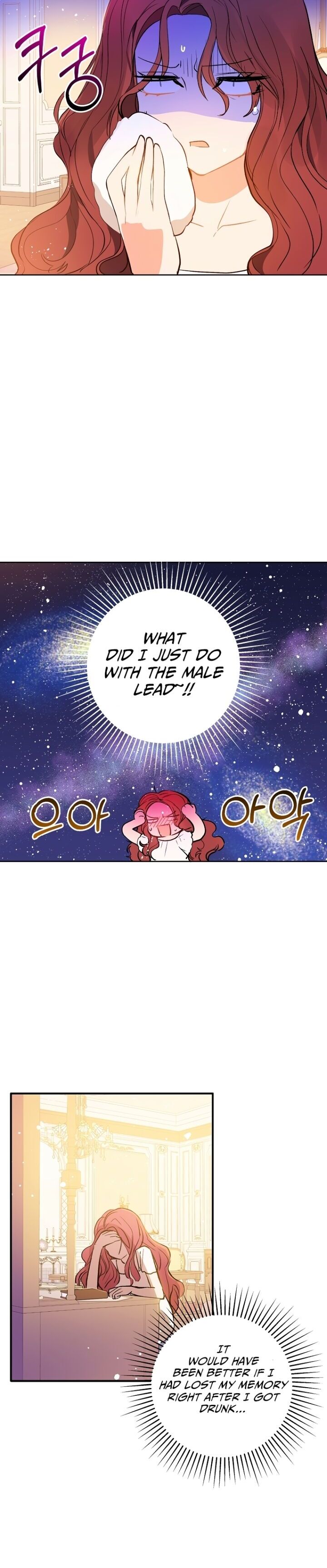 I Didn’t Mean to Seduce the Male Lead Chapter 9 page 3