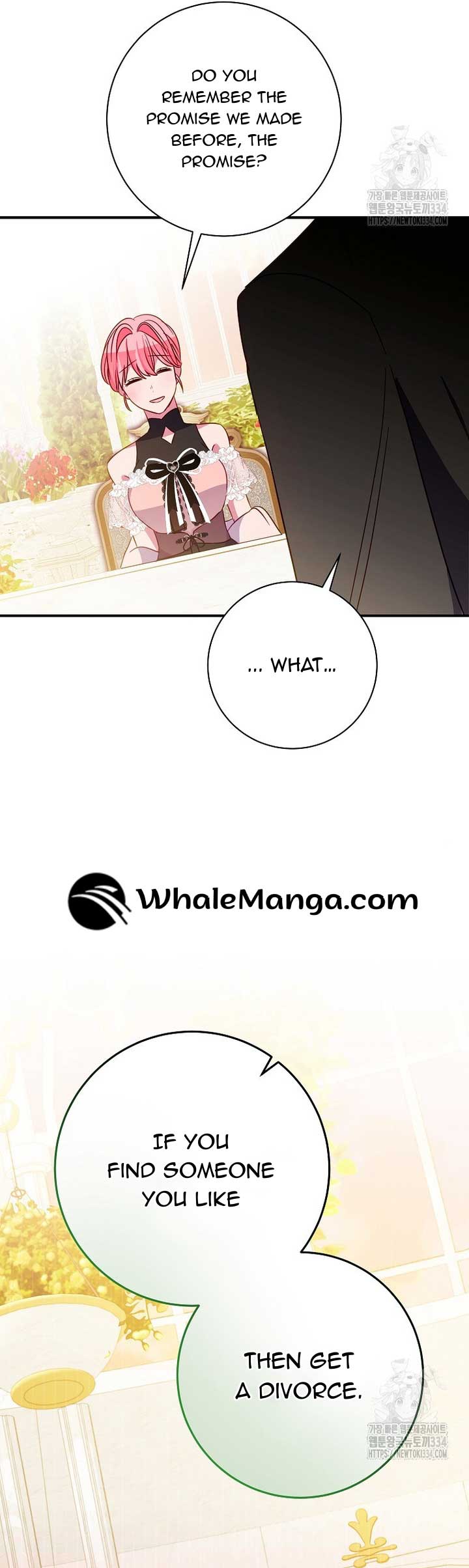 I Don’t Want the Male Lead’s Child Chapter 22 page 27