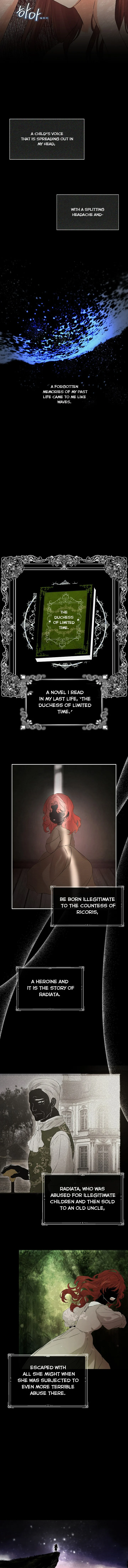 I Mistook the Hidden Identity of the Sub Male Lead Chapter 1.5 page 6