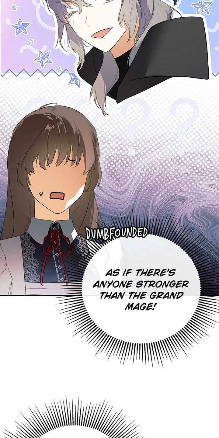 I Mistook the Hidden Identity of the Sub Male Lead Chapter 72 page 27