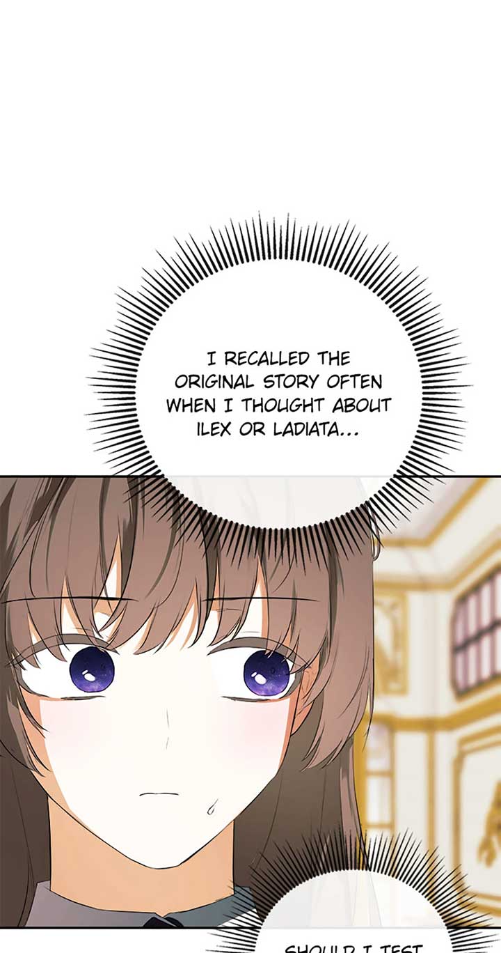 I Mistook the Hidden Identity of the Sub Male Lead Chapter 72 page 63