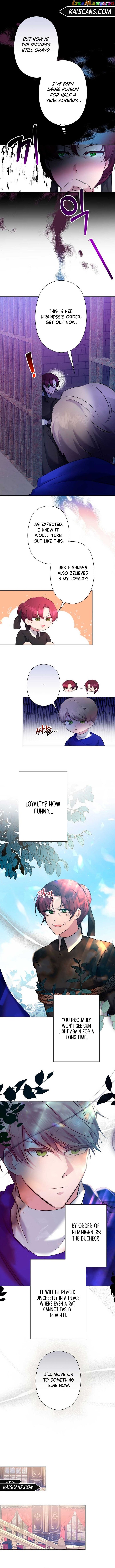 I Need to Raise My Sister Properly Chapter 5 page 8