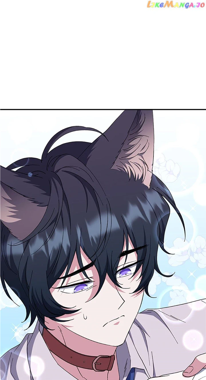 I Plan To Become The Master Of A Stolen Family Chapter 37 page 11