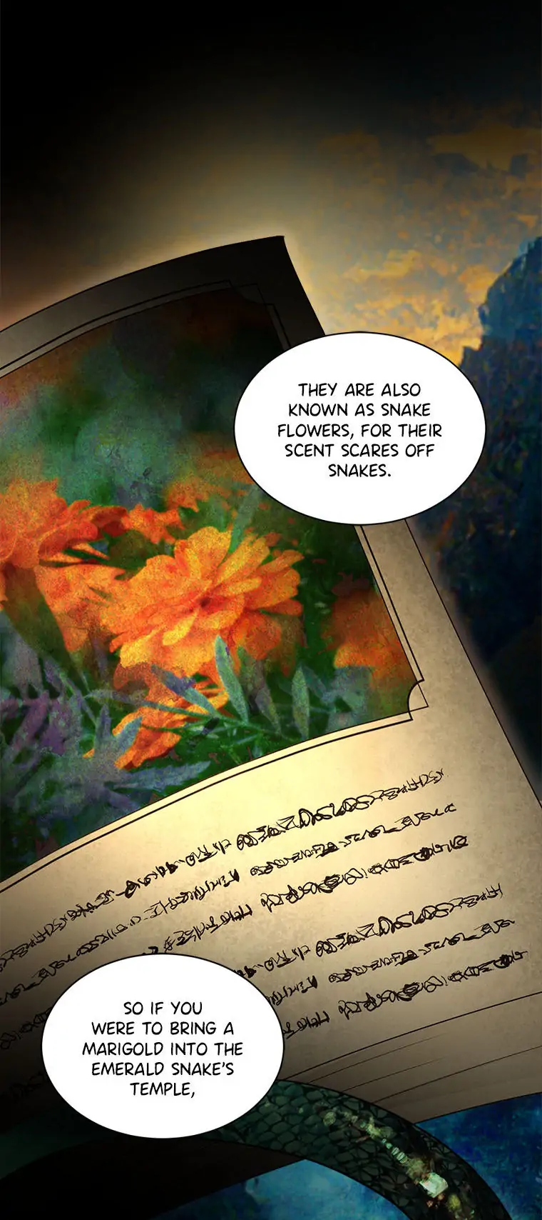 I Was Reincarnated as a Baby Fox God Chapter 33 page 14