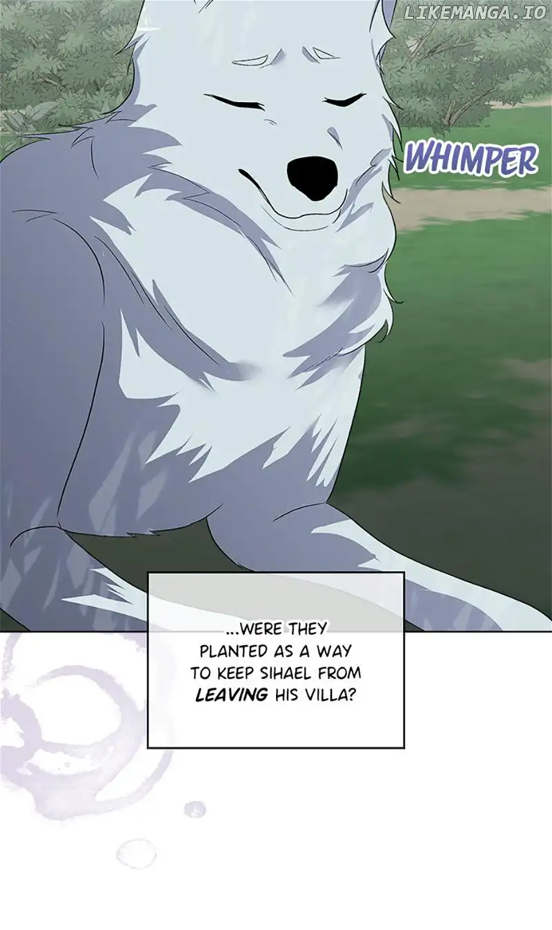 I will temporarily protect the male lead Chapter 46 page 60