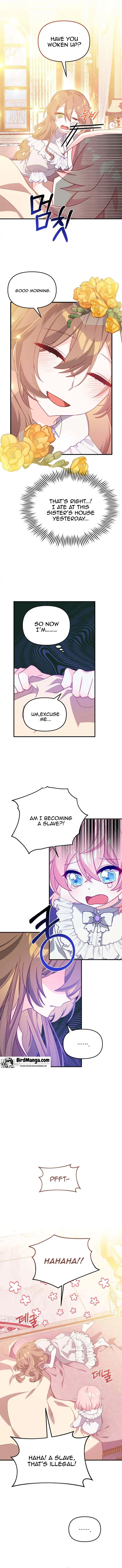 I will try to seduce the male lead for my brother Chapter 2 page 10