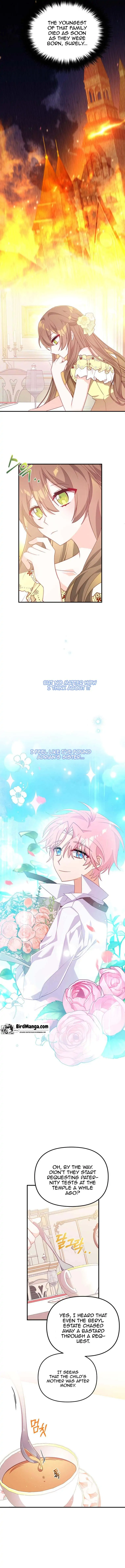 I will try to seduce the male lead for my brother Chapter 2 page 6