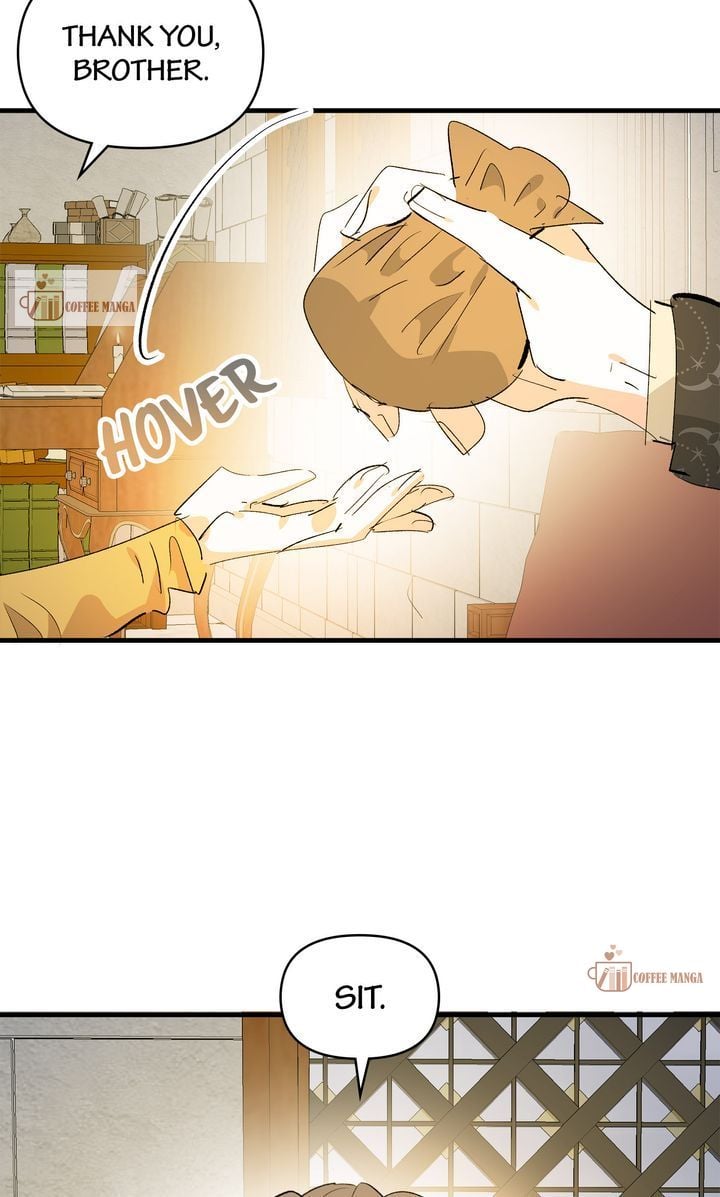 If You Want a Fake Sister Chapter 42 page 41