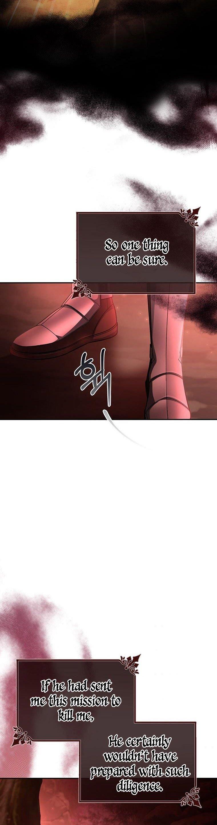 It’s My Destiny To Be The Hero’s Saviour Chapter 32 page 29