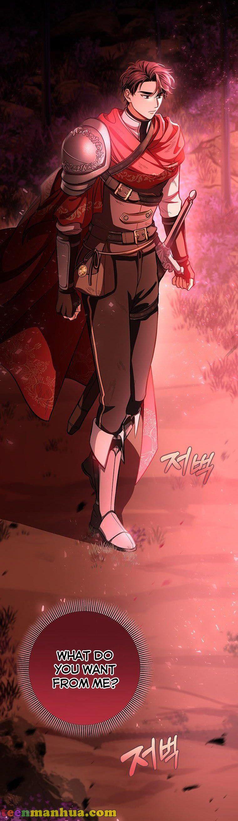 It’s My Destiny To Be The Hero’s Saviour Chapter 32 page 38