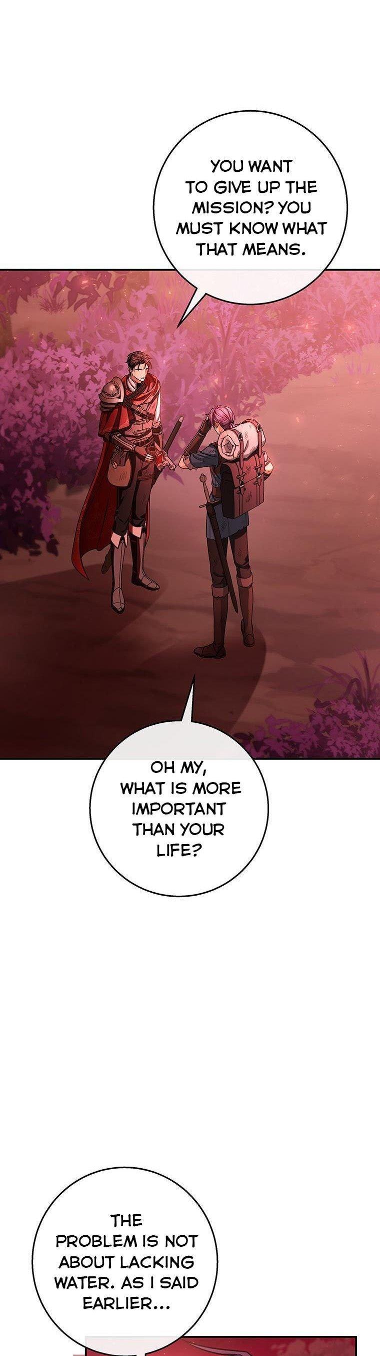 It’s My Destiny To Be The Hero’s Saviour Chapter 32 page 41