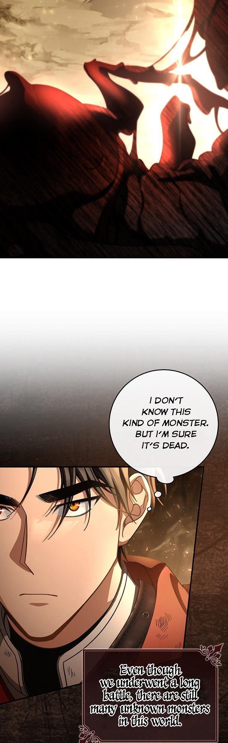 It’s My Destiny To Be The Hero’s Saviour Chapter 33 page 35
