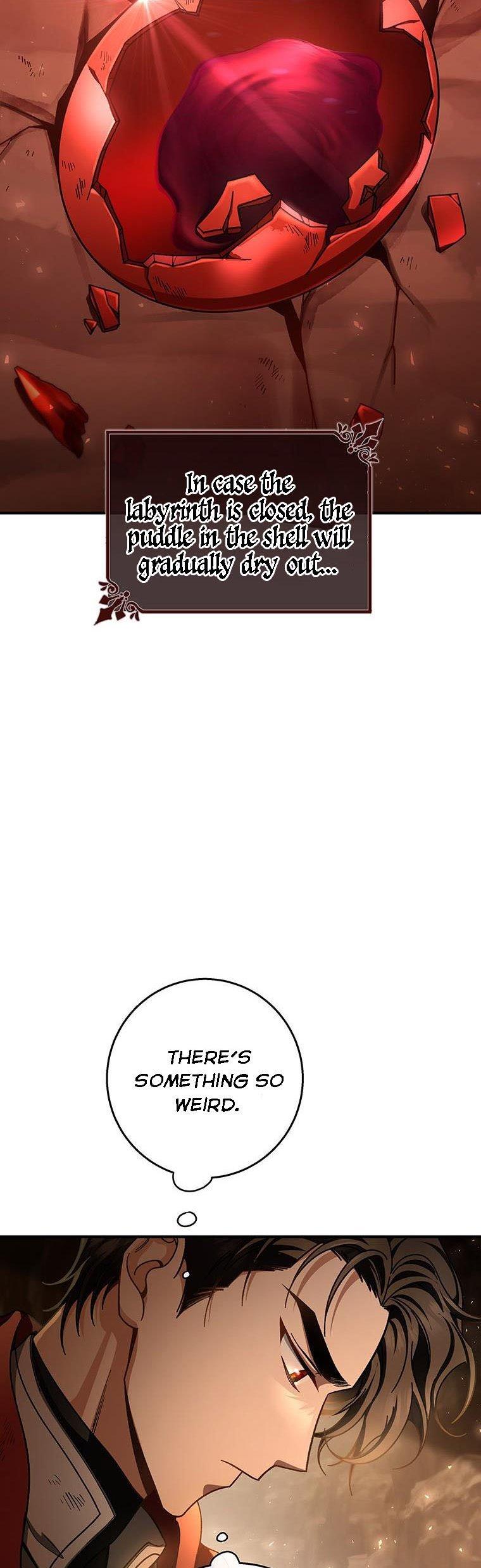 It’s My Destiny To Be The Hero’s Saviour Chapter 33 page 38