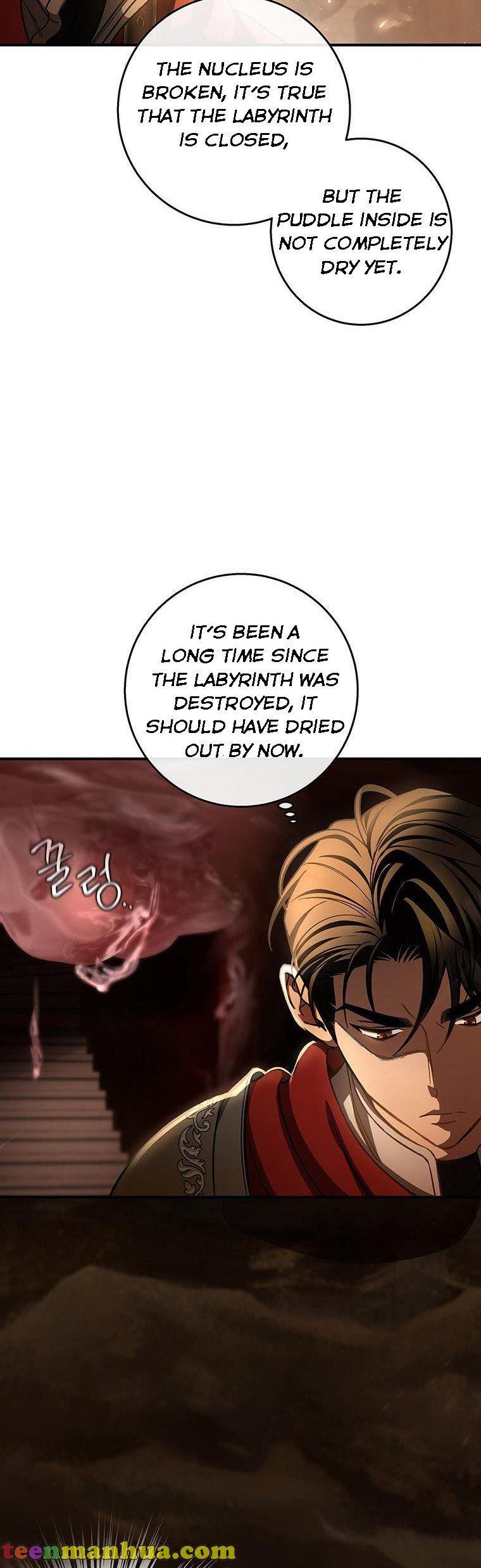 It’s My Destiny To Be The Hero’s Saviour Chapter 33 page 39