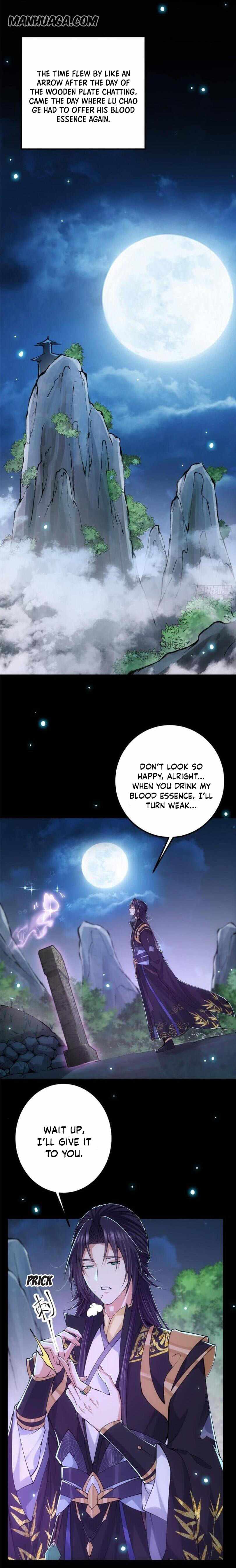 Keep A Low Profile, Sect Leader Chapter 74 page 1