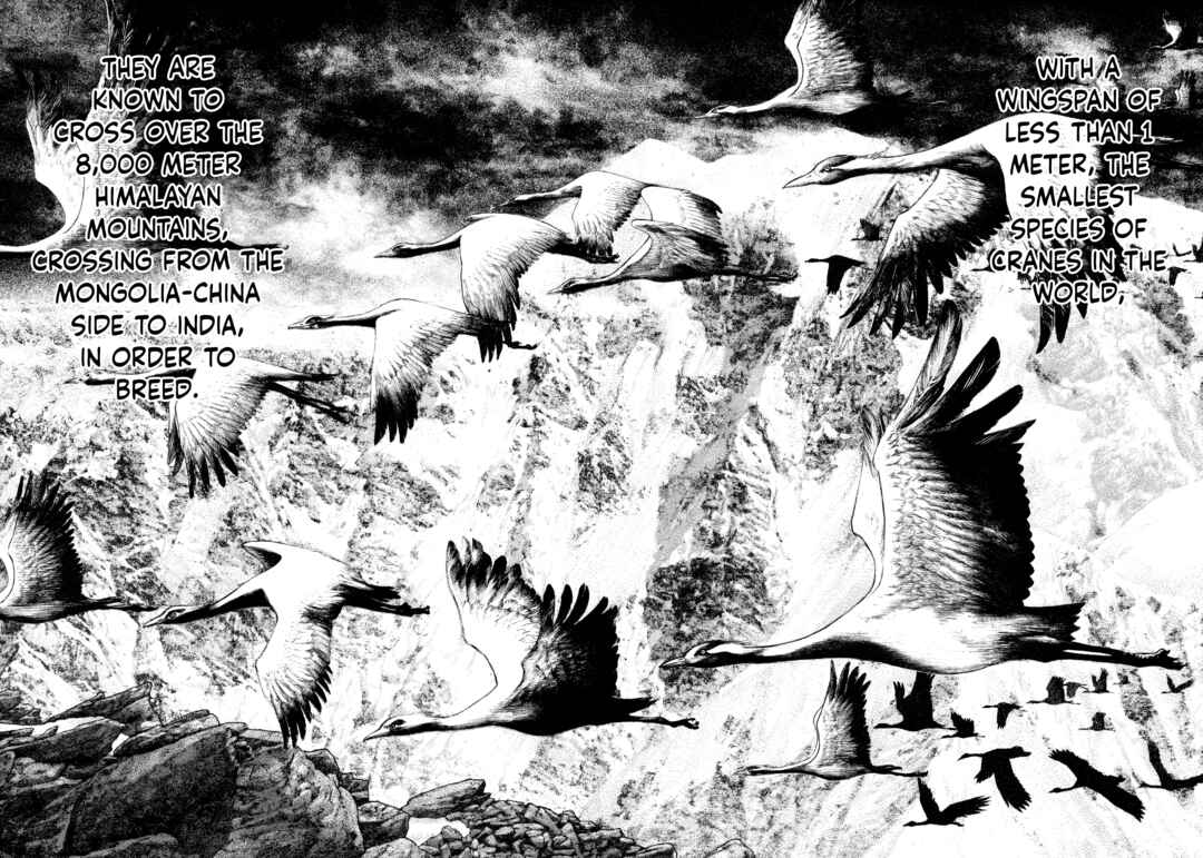 Kokou no Hito Chapter 168 page 9