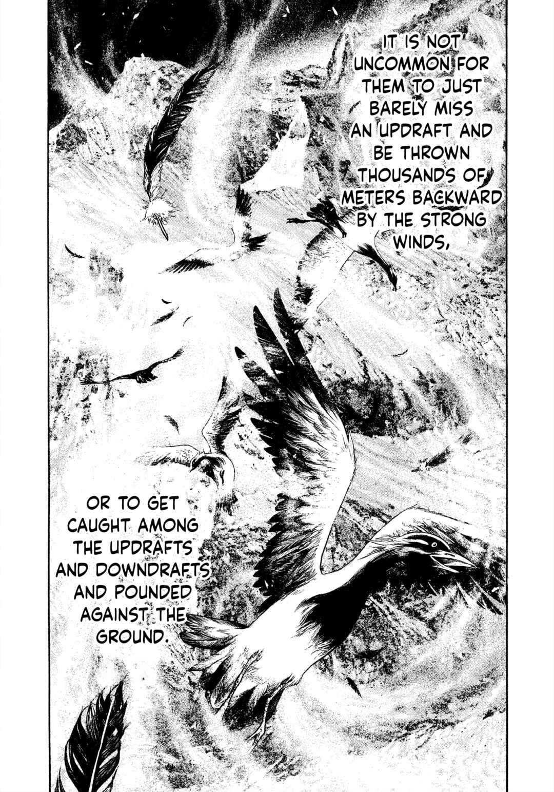 Kokou no Hito Chapter 168 page 12