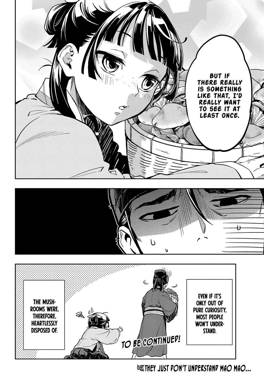 Kusuriya no Hitorigoto Chapter 45.2 page 13