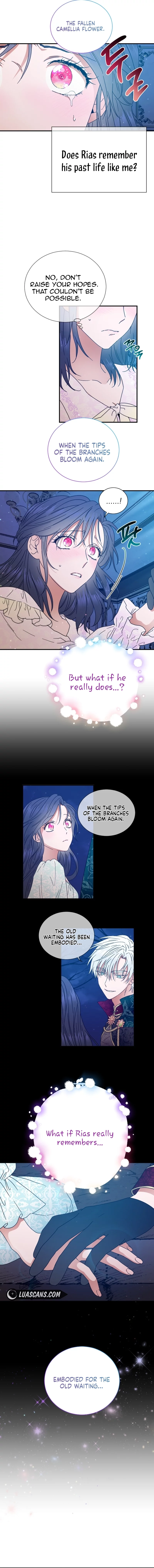 Lady Baby Chapter 199 page 5